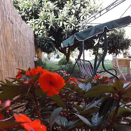 Il Noce Alghero Santa Maria la Palma Zimmer foto